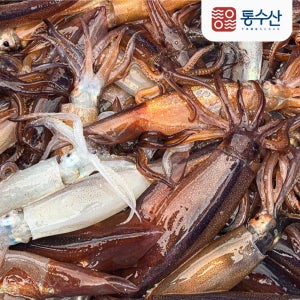 통수산 채낚기 초코 오징어 1kg 10미내외 급속냉동 총알 통찜 녹진한 내장