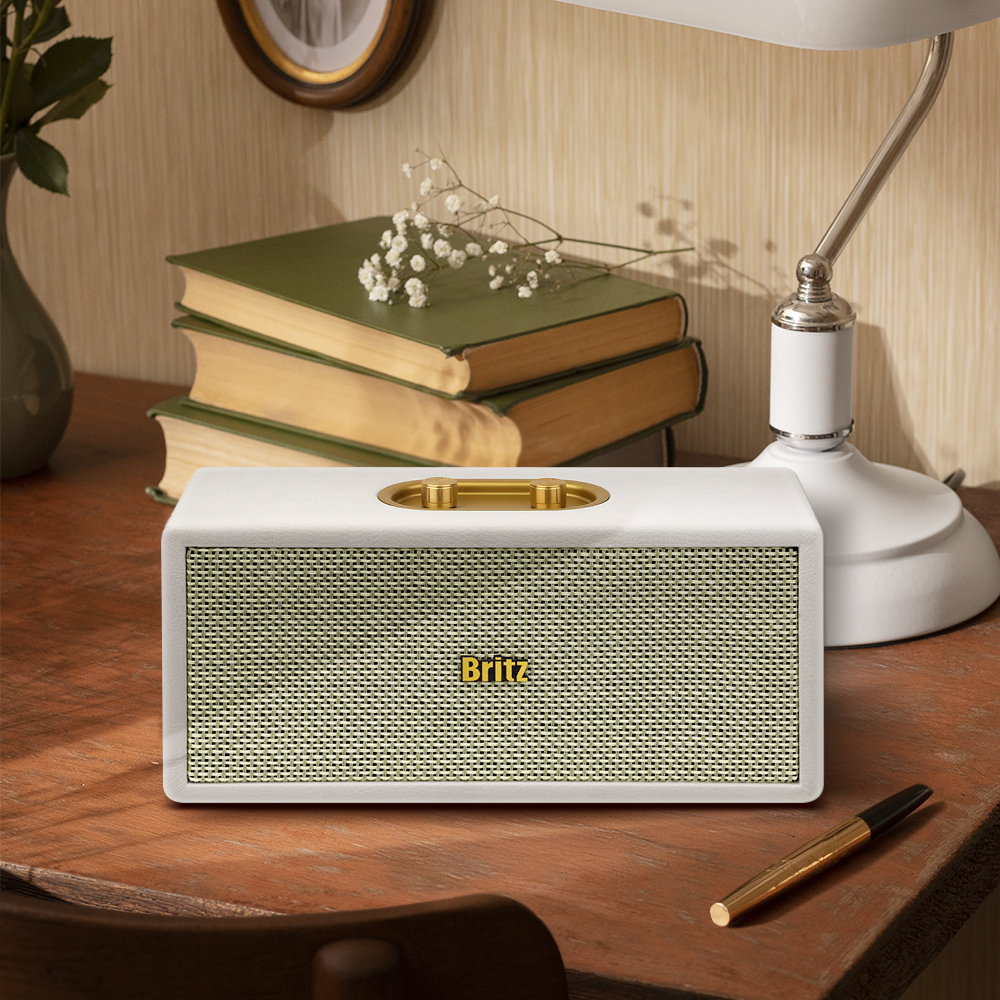 브리츠 블루투스 스피커 거실스피커 무선 FM라디오 미니 마이크