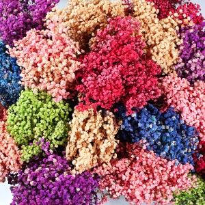 대용량 프리저브드 안개꽃 일반안개 9색 도매