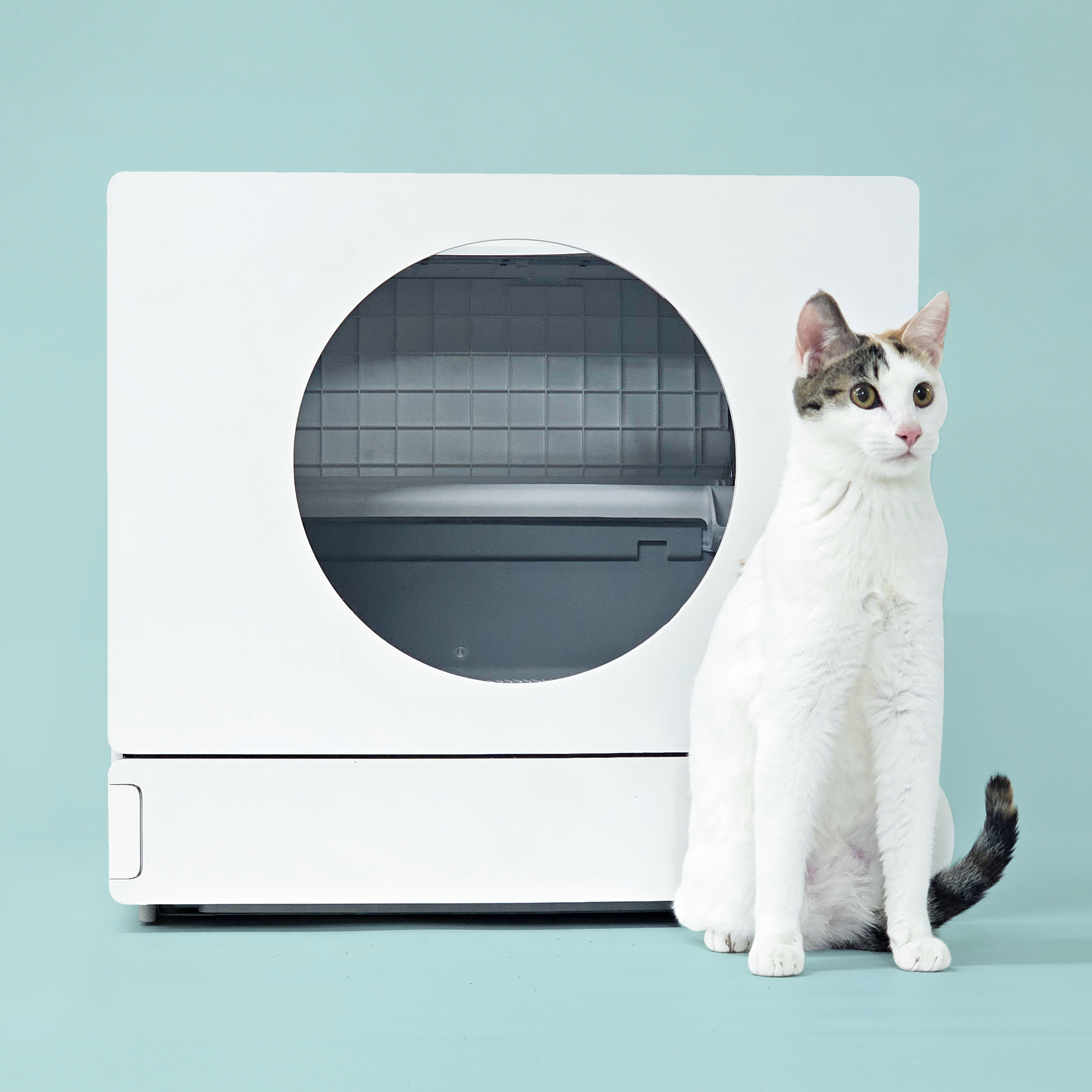 고양이 자동 화장실