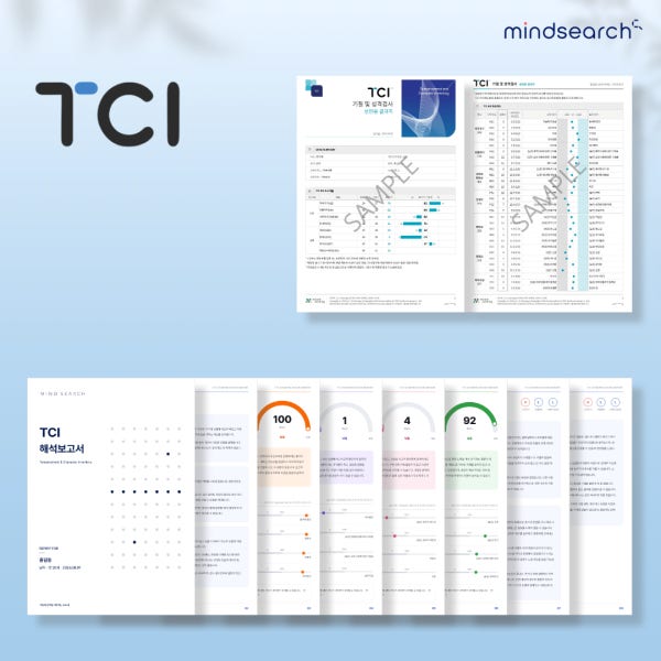 TCI 기질 및 성격 온라인 검사 (2P 결과지 + 13P 해석보고서)