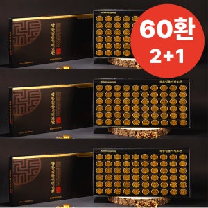 [2+1]광동 침향함유침향환 일품기력보환 60환