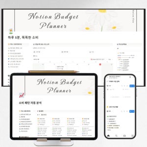 노션 가계부 템플릿 , 만년형 양식 , 아이패드 , 디지털 , 올인원 자산관리