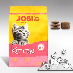 요세라 요시 키튼 10kg 고양이 사료