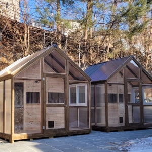 실외고양이집 야외 온실 길고양이 전원주택