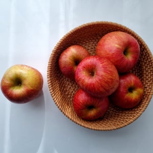 [가정용 부사사과] 경북 안동 청송 사과 주문 5kg 10kg 못난이 제철 아이 간식 아침