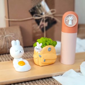 공기청정식물 스칸디아모스 이끼 화분 승진 축하 종합 선물 세트 3종