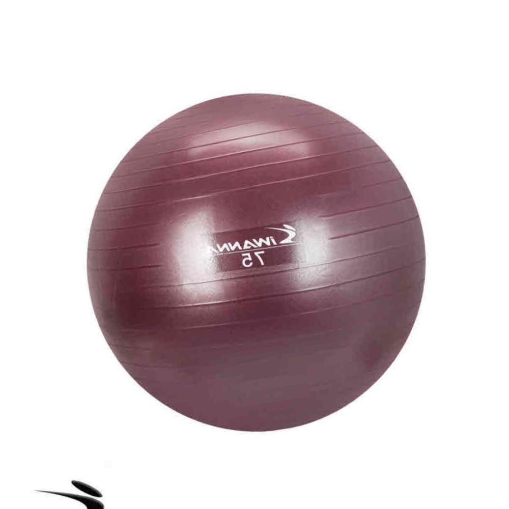 홈트 짐볼 75cm 스트레칭 발란스 근력 <b>헬스 밸런스</b> 피트니스 코어 필라테스 <b>근육</b>이완