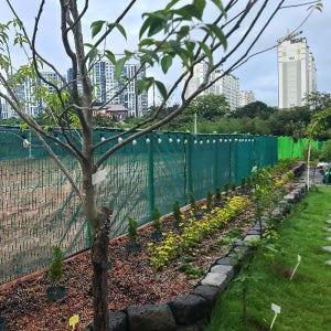 테라스 가림막 1.5m x 3.6m 펜스 베란다 옥상 울타리 난간 전원주택 담장 가리개