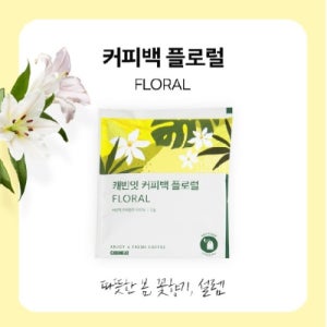 캐빈잇 커피백 플로럴 7개입 티백