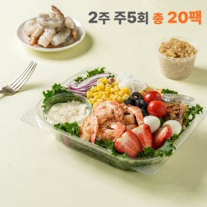 샐러드 포케 정기배송 2주 주 5회(20팩) 샐러드 식단 구독 배달 야채 도시락