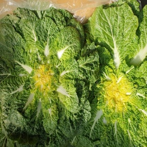 국내산 봄동 배추 10kg 박스 대용량