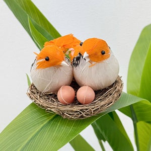 컬러 참새둥지 장식모형 정원 인테리어 가드닝 소품