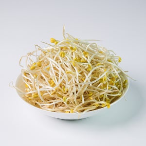 친환경 아삭아삭 싱싱한 콩나물 1kg