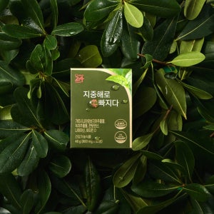체지방컷팅제 카테킨 탄수화물컷팅제 가르시니아 지중해로쏙빠지다