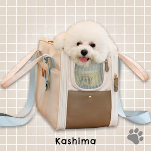 가디즌 카시마 스즈카 강아지 고양이 이동 가방