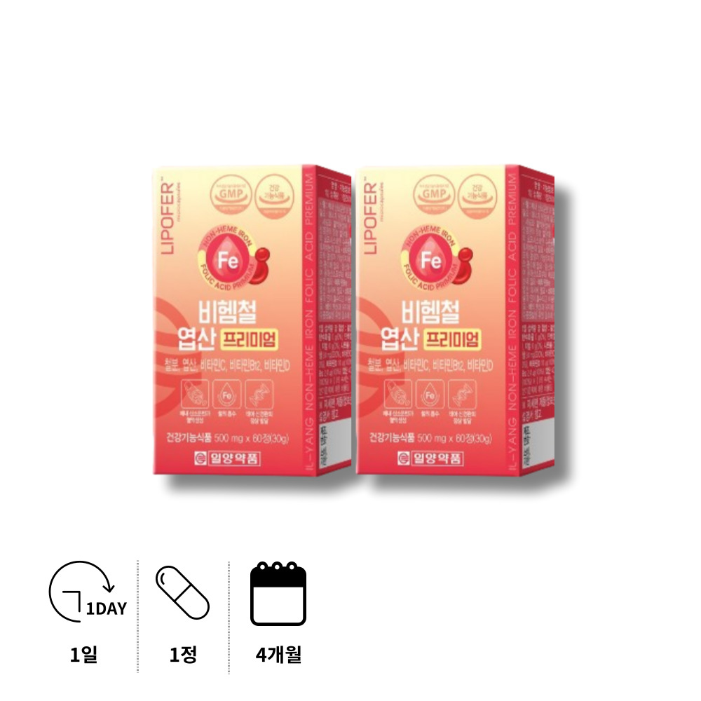 생리철분 출산후 철분 흡수 음식 영양제 비햄철 임산부 임신 초기 준비 철분