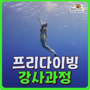 프리다이빙 강사과정 PADI (인천 경기 수도권)