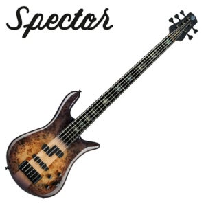 Spector 스펙터 베이스 Euro 5 CST Natural Violet Burst