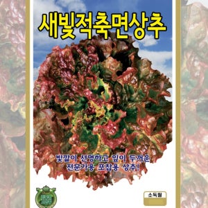 상추 새빛적축면 3000립 엽채류 과채류 주말농장 텃밭가꾸기 열매채소 야생나물