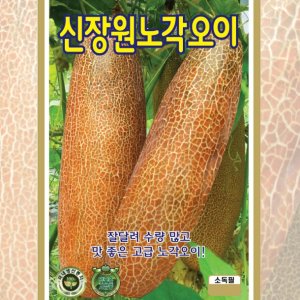 장원노각오이 50립 과채류 엽채소 열매채소 민속채소 샐러드용 국거리