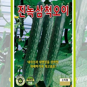 진녹 삼척 오이 10립 과채류 열매채소 토종채소 야생나물 엽채소 국거리