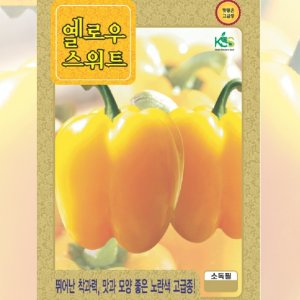 파프리카 옐로우스위트 10립 과채류 샐러드용 토종채소 엽채소 야생나물 텃밭가꾸기