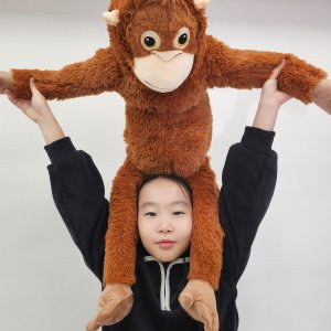 133 센치 오랑우탄 원숭이 초 대형 인형 자이언트 빅사이즈 오숭이 고숭이 133cm