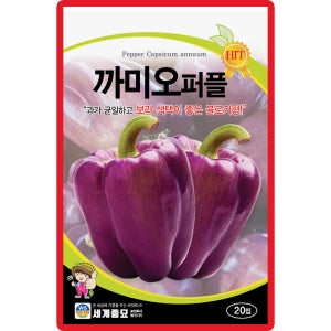 세계 까미오퍼플 파프리카씨앗 20립 자색 조생종 파프리카씨 종자