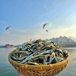 햇솔치(실속형/알뜰형)1.5kg 국물용 육수용 다시멸치 남해안(통영)