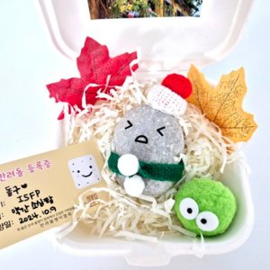 반려돌 반려 돌멩이 애완용 돌 키우기 애완석 반려석 애완돌