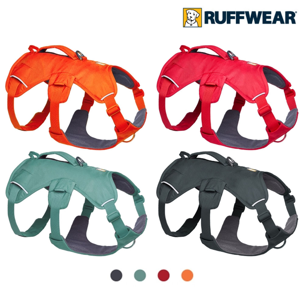 러프웨어 웹 마스터 하네스