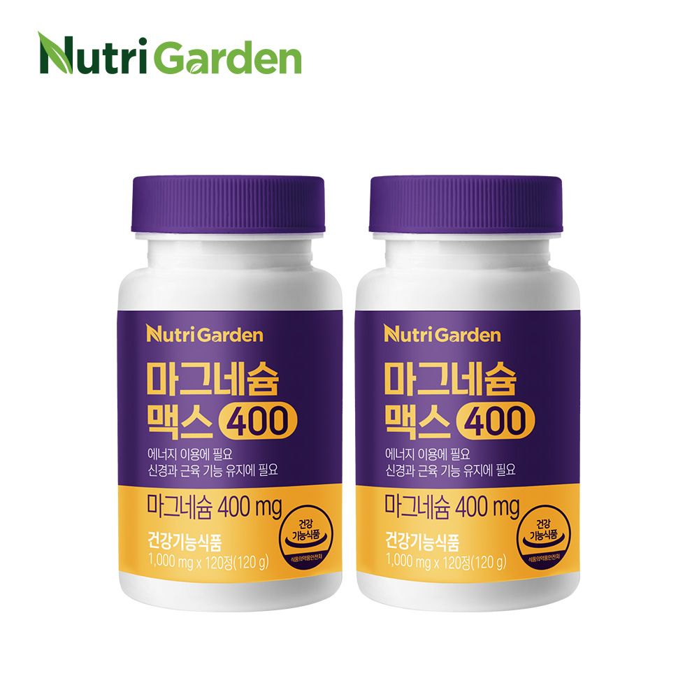 [뉴트리가든] 마그네슘 맥스400 1박스 400mg 고함량 활력 120정, 2개