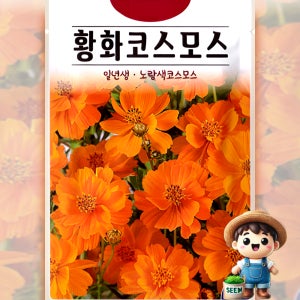 황화코스모스 200립 노란색 코스모스 일년생 꽃씨 씨앗 종자 고급씨앗