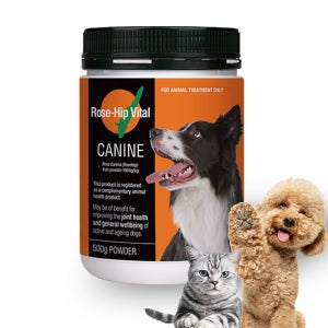 (랜덤사은품증정) 로즈힙 바이탈 케이나인 3 IN 1강아지 관절 종합영양제 500g, 1개