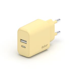 에스커 GaN USB PD PPS C타입 컬러 초고속충전기 25W(2포트)