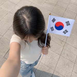 미니 손태극기 자유의 깃발 스탑더스틸 멸공 애국