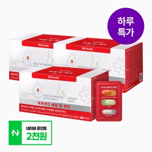 삼진제약 위시헬씨 하루엔진 슬림당케어 90정, 3개