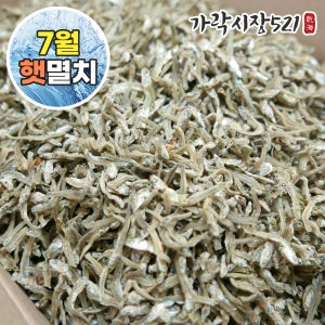 [7월첫출하]국산 볶음용 지가이리 1.5kg 상급 대용량 볶음 지리 가이리 업소용 잔멸치