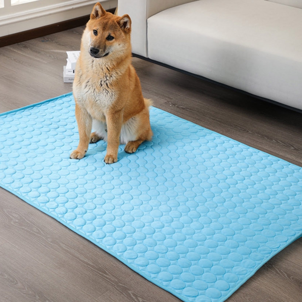 강아지 시원한 여름 쿨매트 XL 폭염 준비 펫 매트 쿨링 패드 애견용품