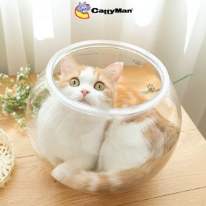 캐티맨 고양이 하우스 놀이 액체냥의 비밀 - 고양이 어항