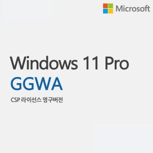 MS 윈도우11 프로 GGWA CSP 기업용 라이선스 영구사용