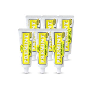 [프레민트] 유자민트치약 100g, 6개