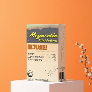 메가세틴 퀘르세틴 650 mg 피페린 브로멜라인 아연 케르세틴 파이토케미컬