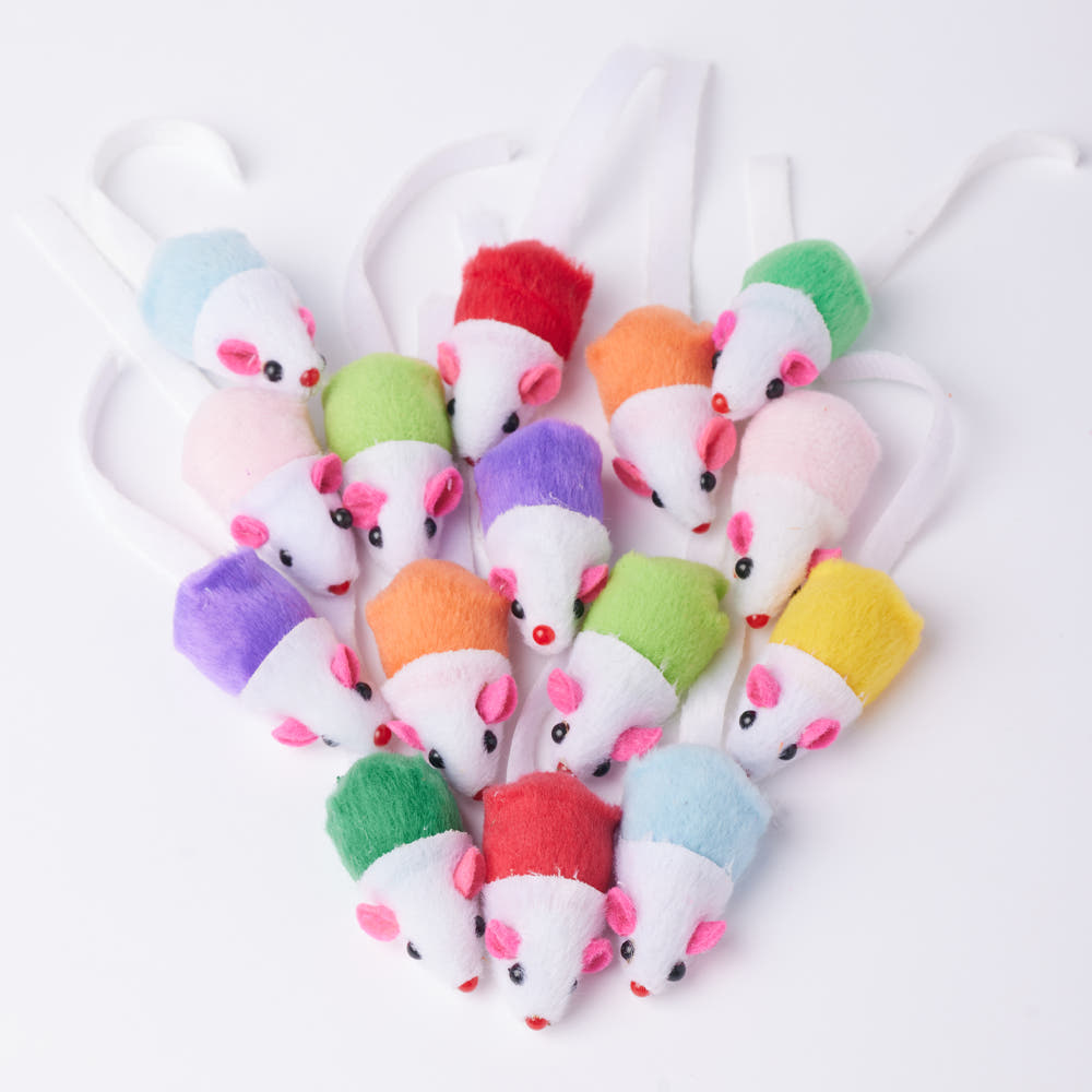 고양이 장난감 브랜드