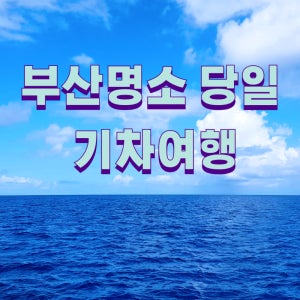 부산당일치기 해운대해변열차 해동용궁사자갈치시장 국내패키지 KTX기차여행
