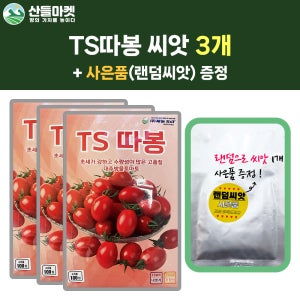 산들마켓 TS따봉 대추 방울토마토 씨앗 100립 내병계 고당도 대추토마토씨 종자 3개+랜덤 씨앗 1개 증정