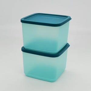 타파웨어 싱싱블록 1L 2인조 반찬통 과자통 김통 냉장고정리 냉장용기