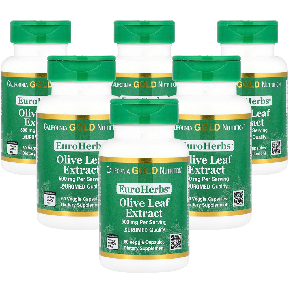 CGN 올리브잎추출물 500mg 60캡슐 x6