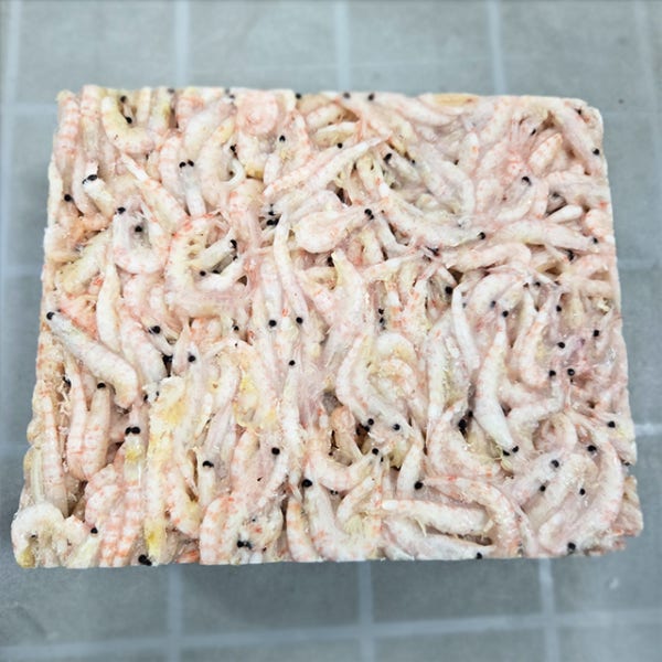 동원 알이굵은 에이급 밑밥크릴 L사이즈 1.5kg 크릴새우 감성돔 낚시미끼 밑밥 집어제